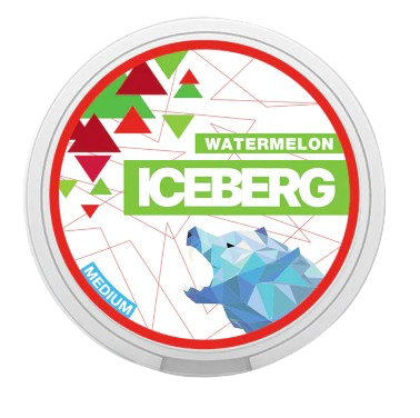 ICEBERG Watermelon  Medium